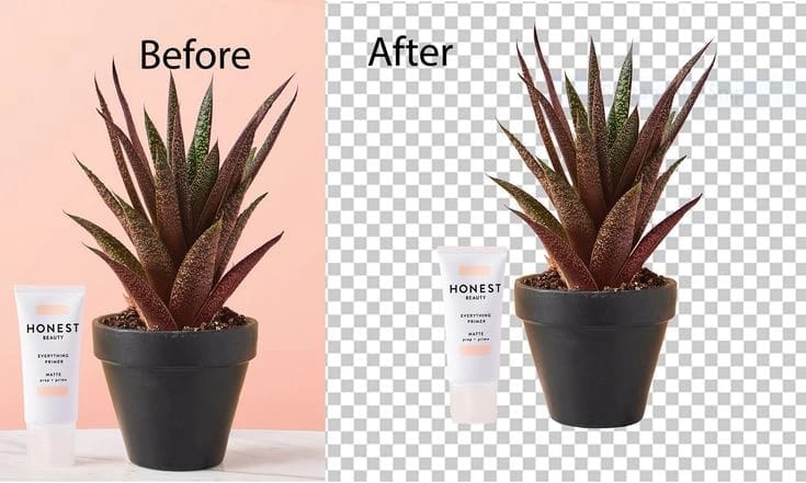 remove background free